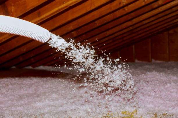 Types of Insulation We Offer in Ellerslie, GA